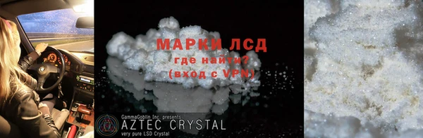стаф Баксан