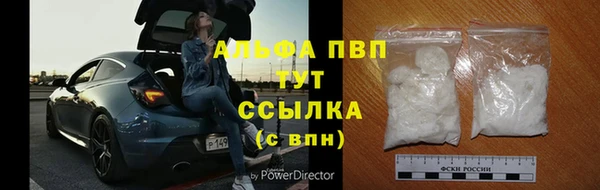 стаф Баксан