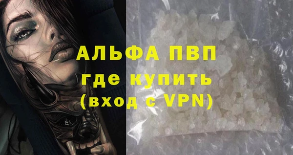 стаф Баксан