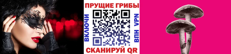 где можно купить наркотик  MEGA ТОР  Псилоцибиновые грибы Psilocybe  Краснозаводск 