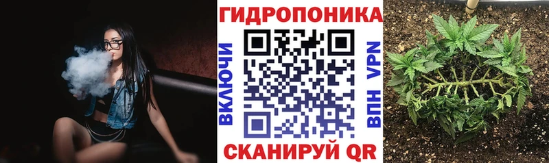 Шишки марихуана конопля  Краснозаводск 